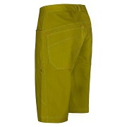 Pánské kraťasy OCÚN HONK Shorts Men - pond green