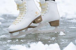 Dámské lední brusle TEMPISH Jessica